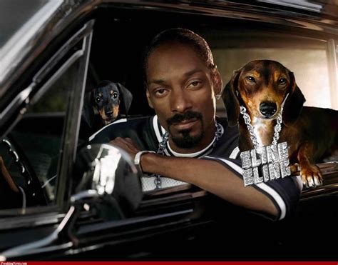 The 52-year-old says the &39;music industry and the film. . Is dirt dog owned by snoop dogg